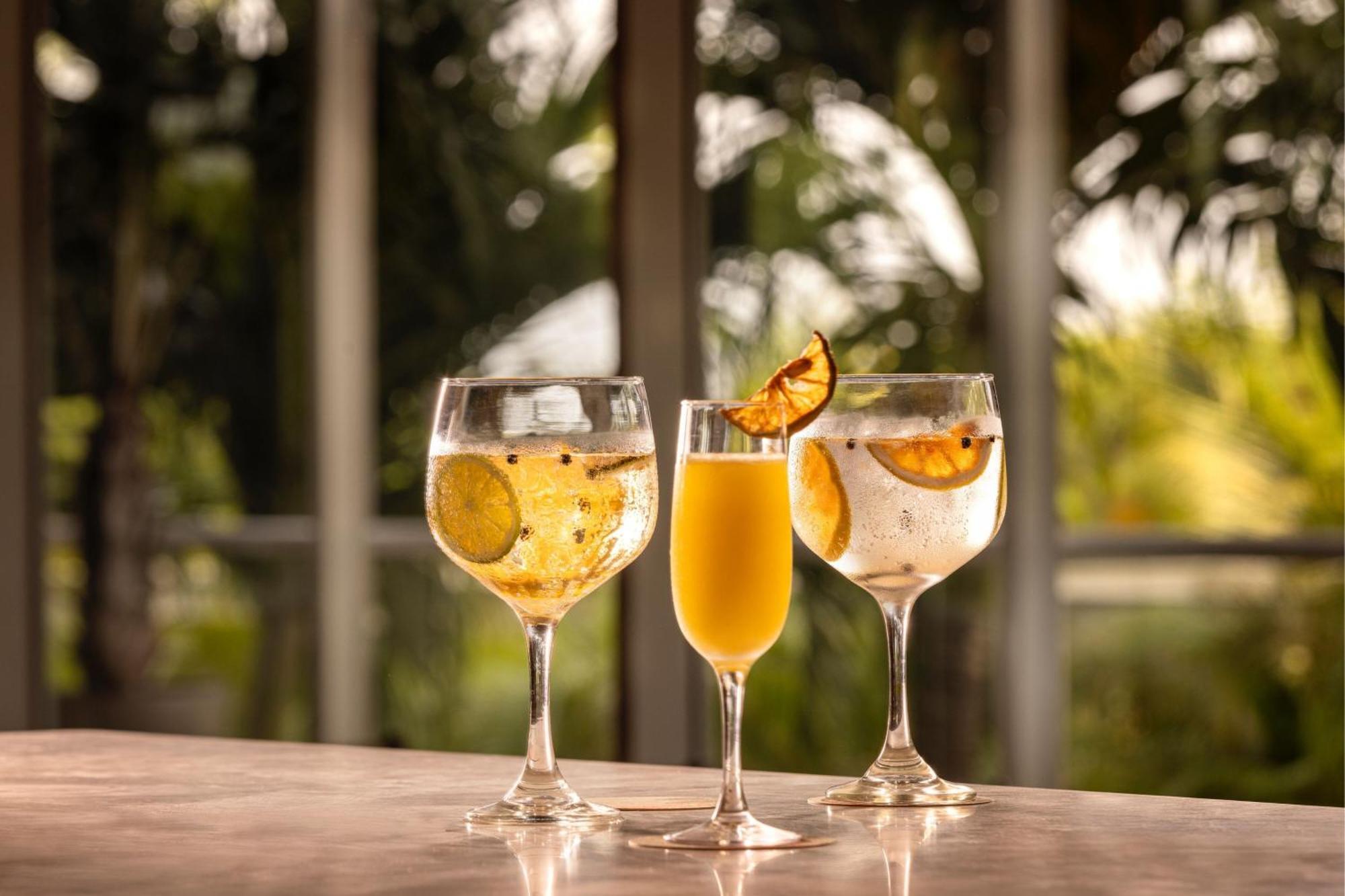 Santa Marta Marriott Resort Playa Dormida Екстер'єр фото Glasses of ginger beer